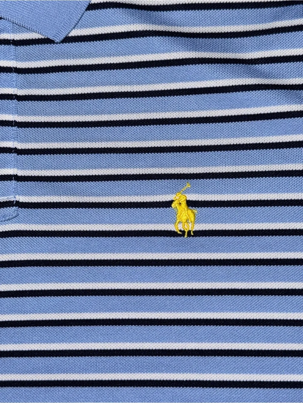 Polo by Ralph Lauren performance Light Blue Striped Polo Shirt